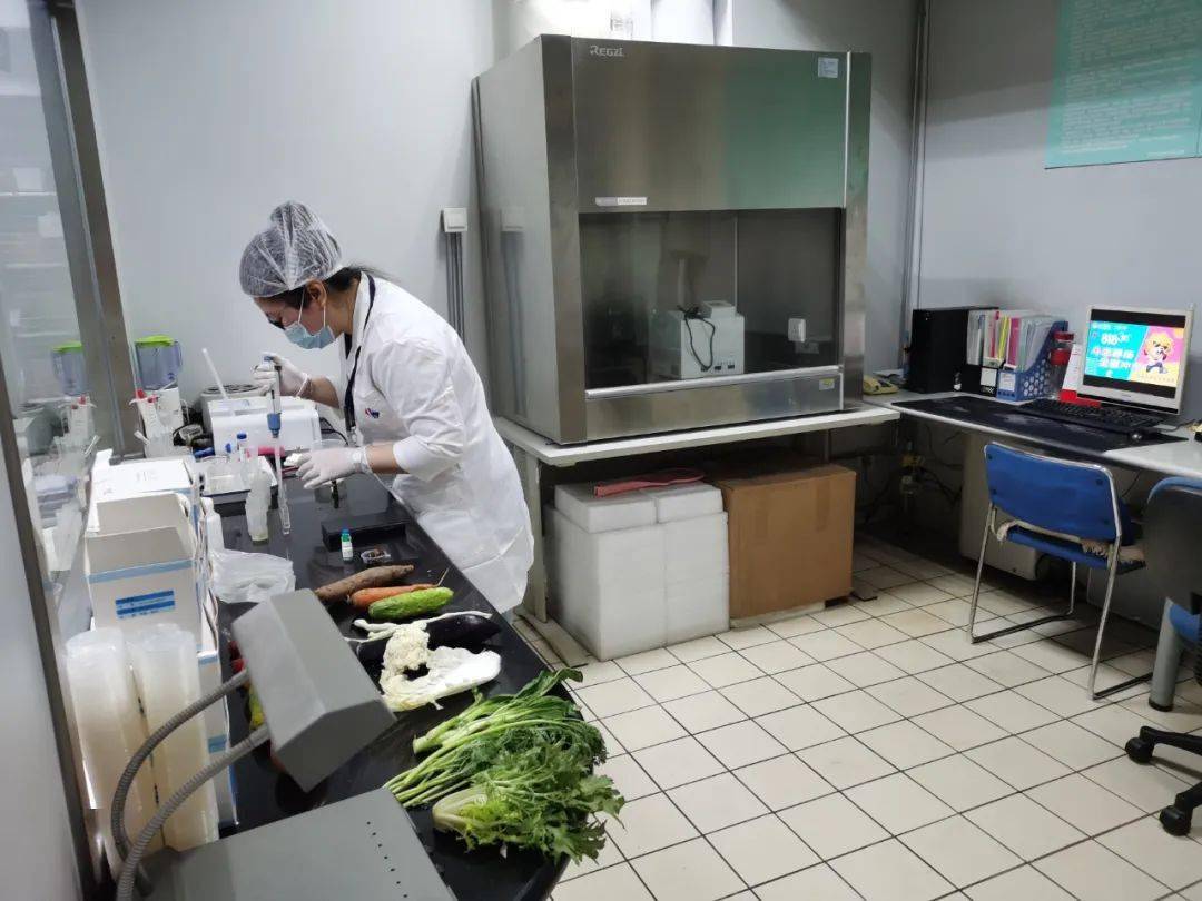 宜川食品检测实验室装修方案